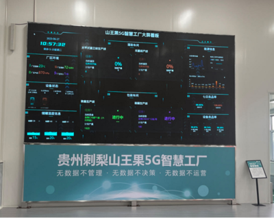 走進貴定山王果 開在大山里的數(shù)實融合之花